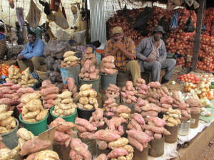 selling zimbabwean food in africa cuisine